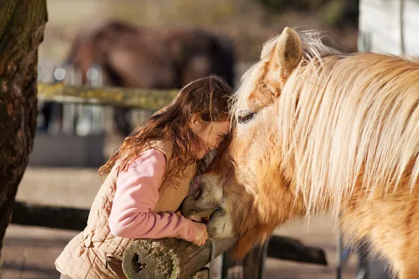若い女の子が彼女の馬のための愛情を示す — ストック写真