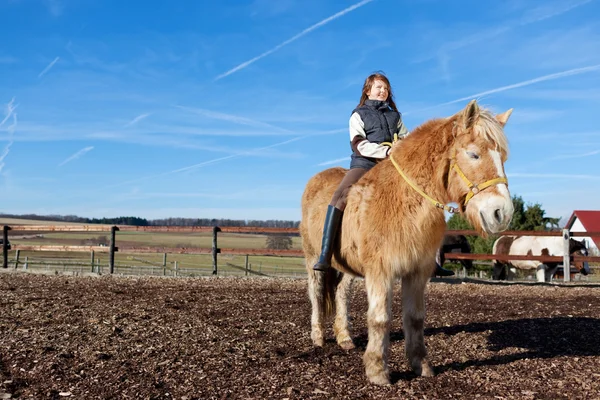 她骑马的年轻女孩 — 图库照片