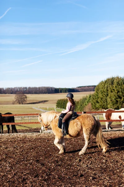सवारी क्षेत्र में एक घोड़े पर सवार लड़की — स्टॉक फ़ोटो, इमेज