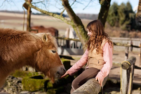 Glückliches junges Mädchen streichelt ihr Pferd — Stockfoto