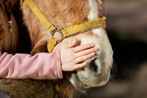 Mädchen streichelt ihr Pony — Stockfoto
