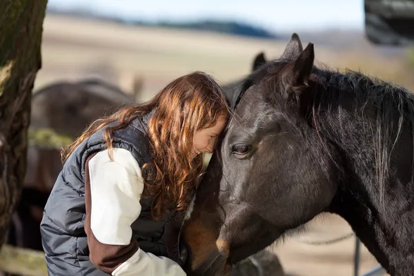 Glücklich junges Mädchen streichelt ihr dunkelbraunes Pferd — Stockfoto