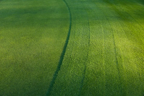 Campo verde no golfe — Fotografia de Stock