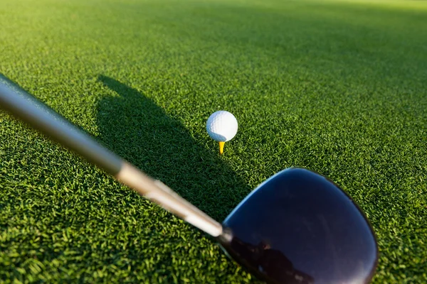 Golf club e palla — Foto Stock