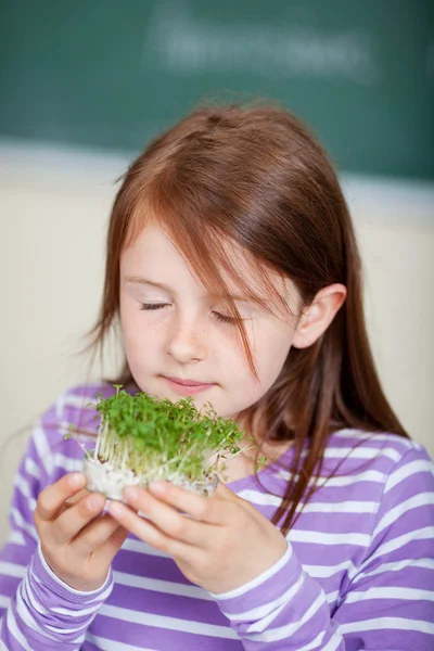 Student smelling cress seedlings — Stock Photo, Image