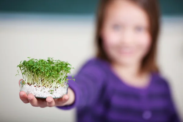 Female student — Stock Photo, Image