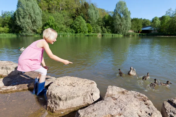 Malá holčička krmení kachen — Stock fotografie