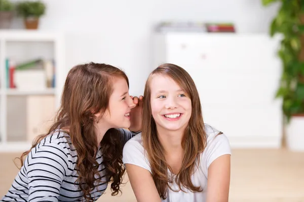 Menina sussurrando segredos para seu melhor amigo — Fotografia de Stock