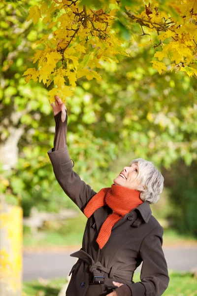 Smiling Senior Woman Holding Tree Branch — Stock Photo, Image