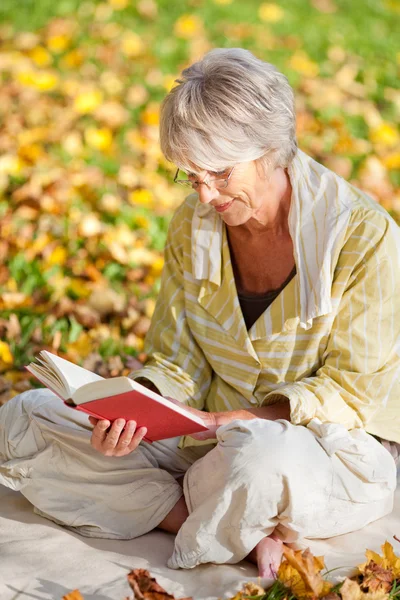 Libro di lettura donna anziana nel parco — Foto Stock