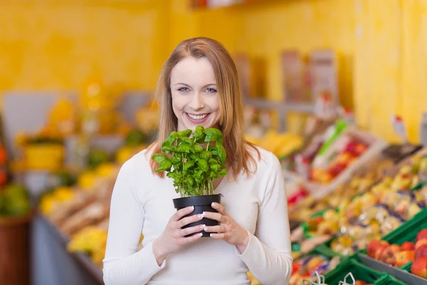 Vrouw met een ingemaakte basilicum plant — Stockfoto