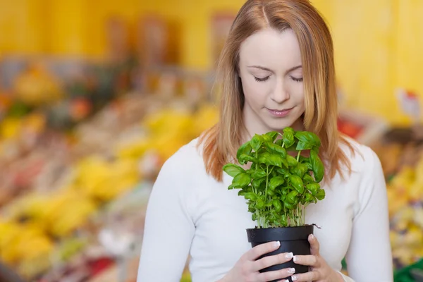 Donna con gli occhi chiuso odore basilico pianta — Foto Stock