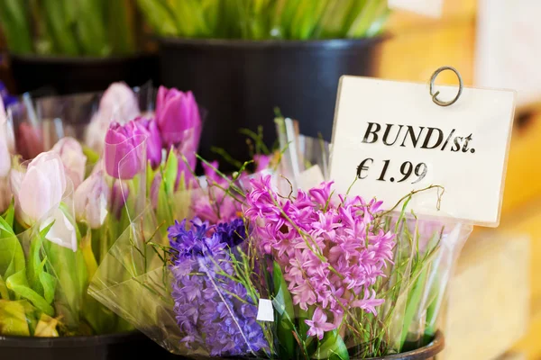 Vari fiori con cartellino del prezzo nel negozio — Foto Stock