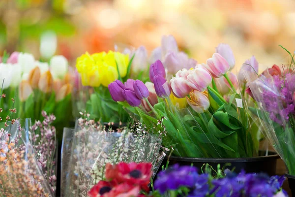 Fresh flowers on sale — Stock Photo, Image