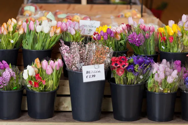 Banheiras de flores frescas à venda — Fotografia de Stock