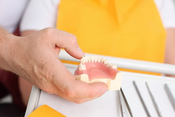 Zahnarzt zeigt prothetische Zähne — Stockfoto