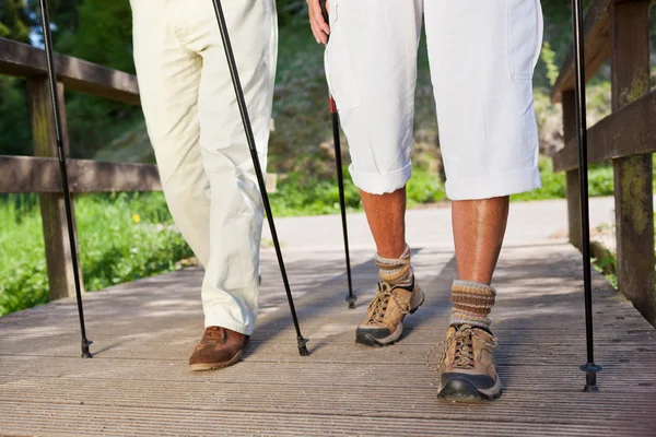 Pasangan Berjalan Pada Boardwalk Sementara Hiking — Stok Foto