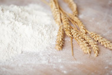 Flour and fresh wheat clipart