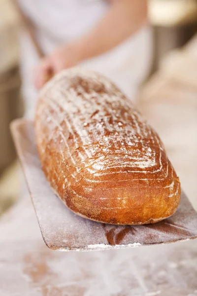 Delizioso pane croccante appena cotto — Foto Stock