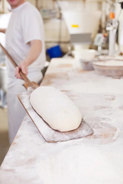 Laib Brot bereit für den Ofen — Stockfoto