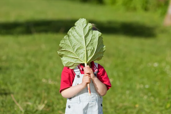 Boy Holding Leaf In Front Of Face In Yard — Stock Photo, Image