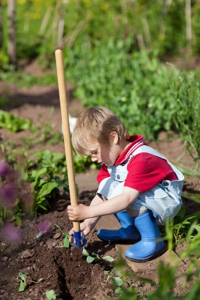 Little gardener — Stock Photo, Image