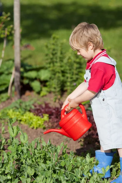 Chłopiec podlewania roślin w ogrodzie — Zdjęcie stockowe