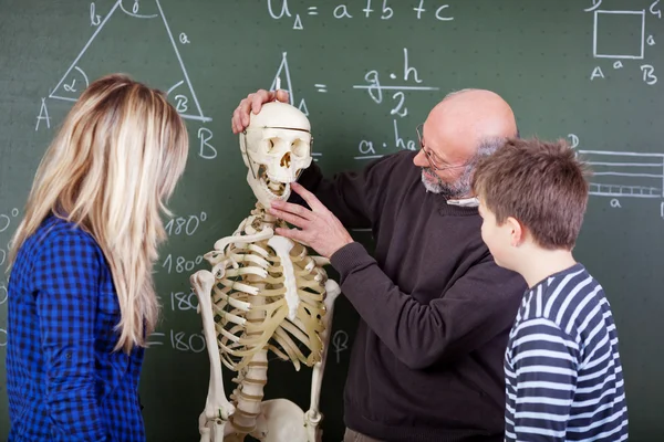 Professor explicando peças de esqueleto para estudantes na aula de biologia — Fotografia de Stock