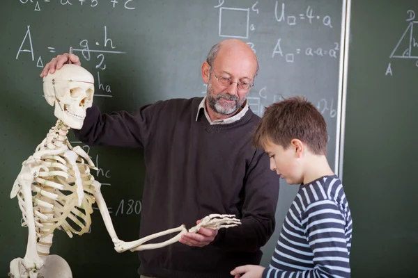 Profesor Con Esqueleto Enseñando Estudiante En Aula —  Fotos de Stock