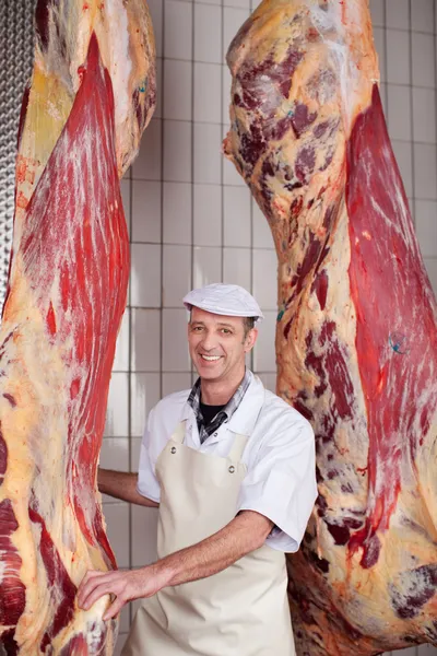Butcher standing between beef hanging in cold room — Stock Photo, Image