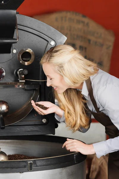 Barista checking quality of coffee beans — Stock Photo, Image