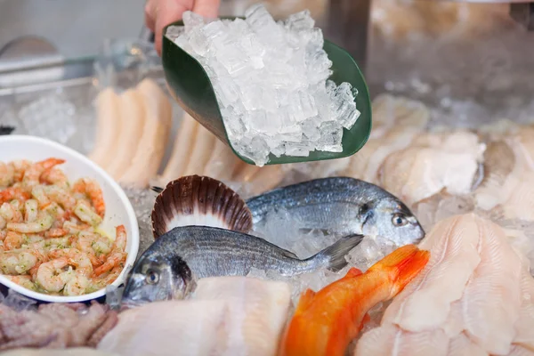 Salesperson filling ice on fresh fish — Stock Photo, Image