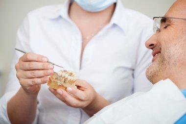 Female Dentist Explaining Artificial Teeth clipart