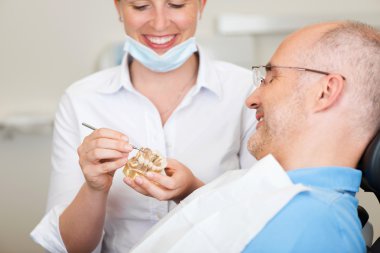 Smiling Female Dentist Explaining Artificial Teeth clipart