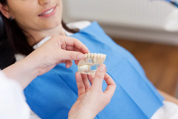 Mãos de dentista explicando modelo de dentes para paciente feminino — Fotografia de Stock