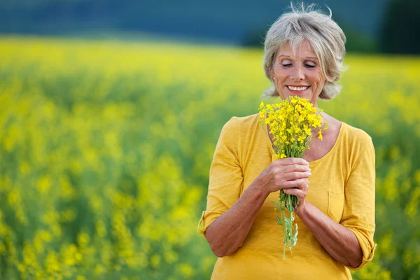 Senhora idosa arrancando flores — Fotografia de Stock