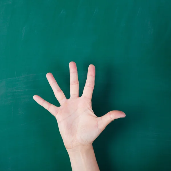 Woman 's palm against green board — стоковое фото