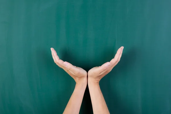 Empty woman's hands cupped together against green board — Stock Photo, Image