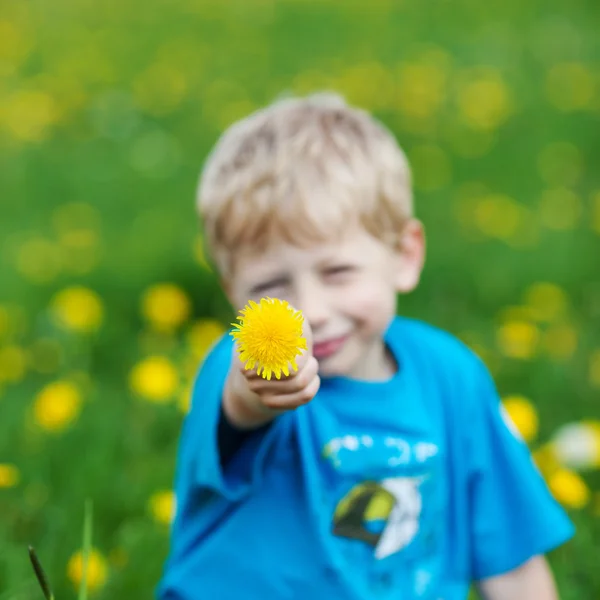Menino bonito mostrando flor amarela — Fotografia de Stock