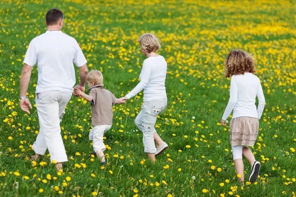 Family walking away over grassy field — Stock Photo, Image