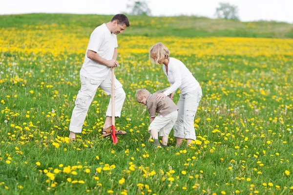 Familia feliz trabajando con una pala en el campo de hierba — Foto de Stock