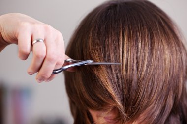 Woman having her hair cut short clipart