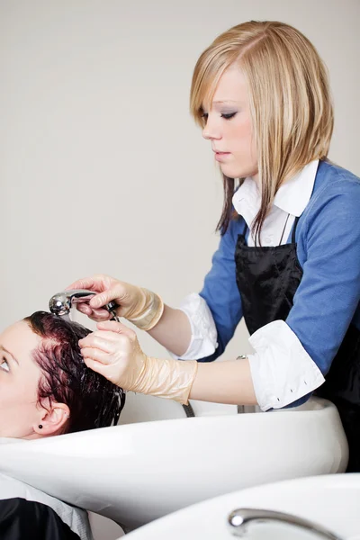 Ассистент салона промывает клиенту волосы — стоковое фото