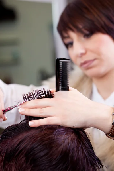 Парикмахер стрижет волосы — стоковое фото