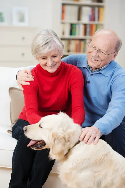 Happy golden retriever with its elderly owners — Stock Photo, Image