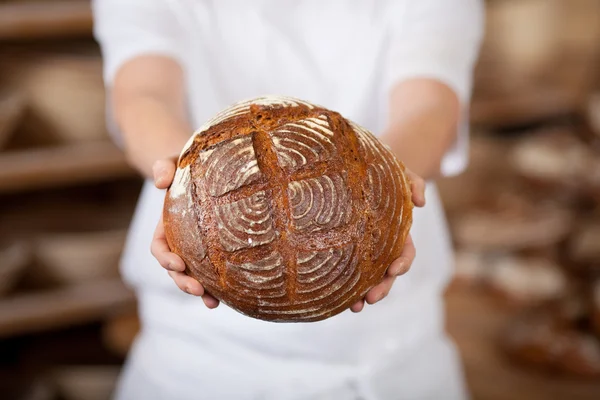 Chef in bakery holding round bread — Stock Photo, Image