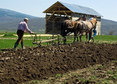 Two men plowing clipart