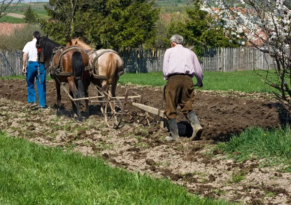 Two men plowing — Stock Photo, Image