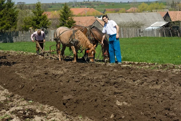 Відпочинок на землі — стокове фото