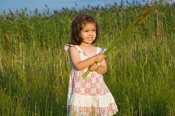 Girl holding reeds — Stock Photo, Image